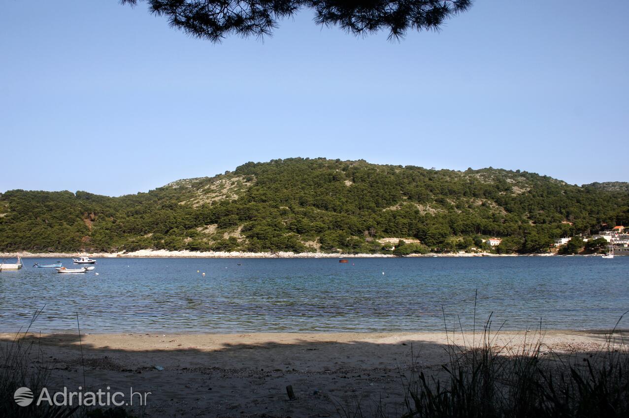 Nearby beaches - Apartments by the sea Cove Saplunara, Mljet