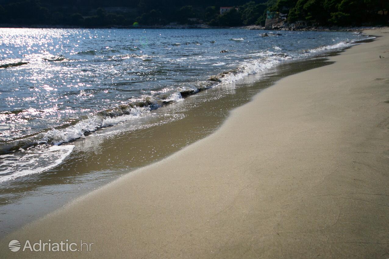 Nearby beaches - Apartments by the sea Cove Saplunara, Mljet
