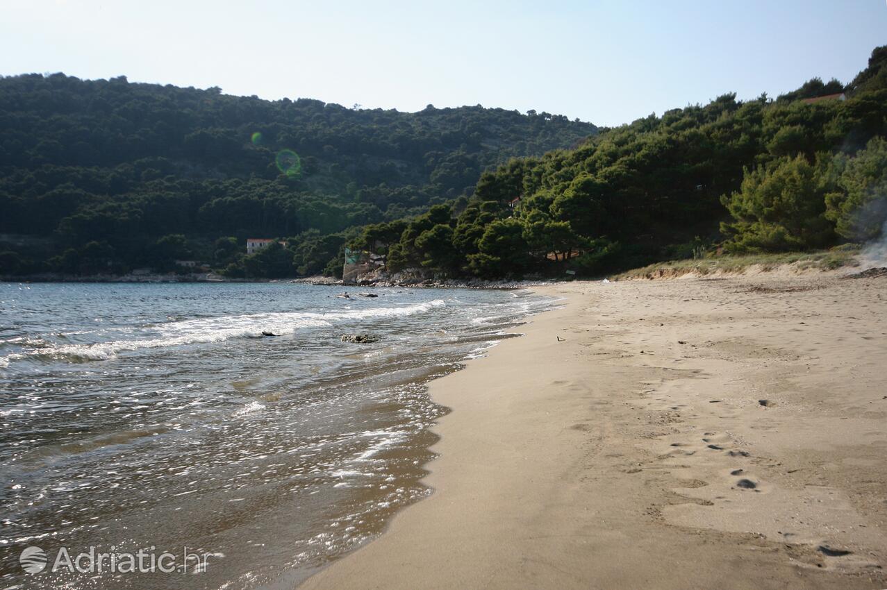 Nearby beaches - Apartments by the sea Cove Saplunara, Mljet