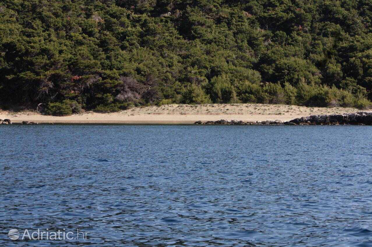 Nearby beaches - Apartments by the sea Cove Saplunara, Mljet