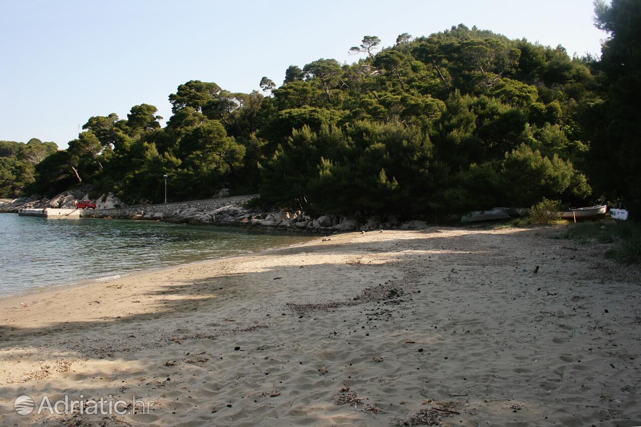 Nearby beaches - Apartments by the sea Cove Saplunara, Mljet
