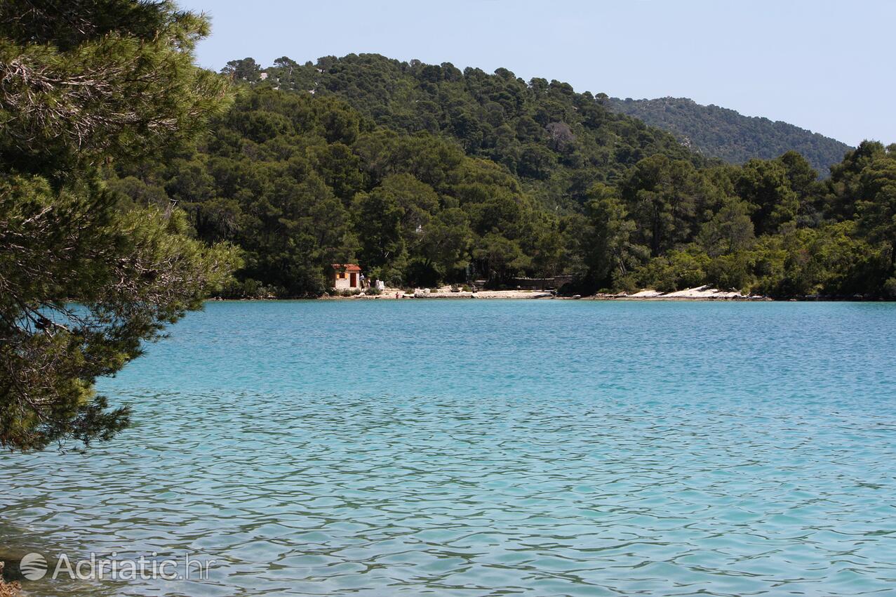 Soline en la isla Mljet (Južna Dalmacija)