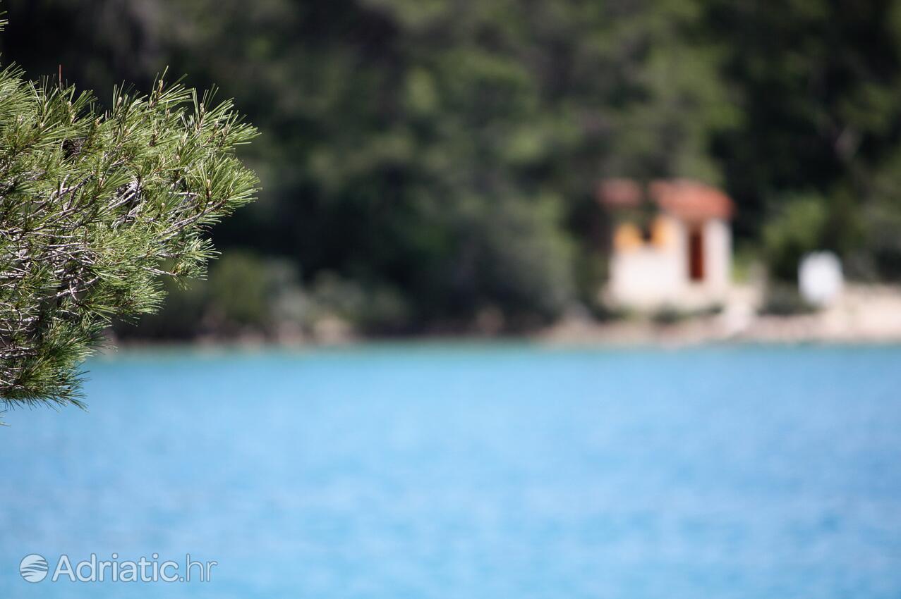 Soline na ostrove Mljet (Južna Dalmacija)