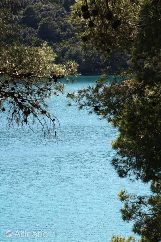 Soline na ostrove Mljet (Južna Dalmacija)