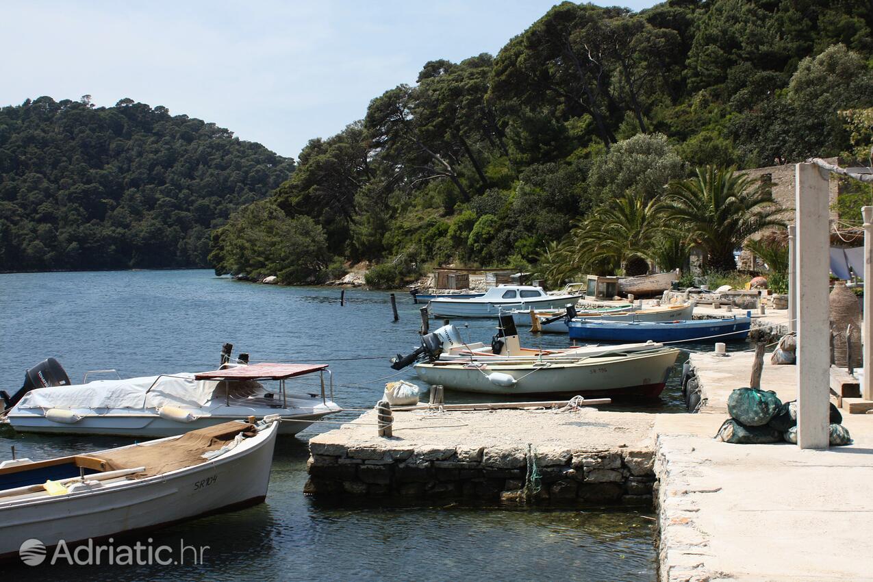 Soline en la isla Mljet (Južna Dalmacija)