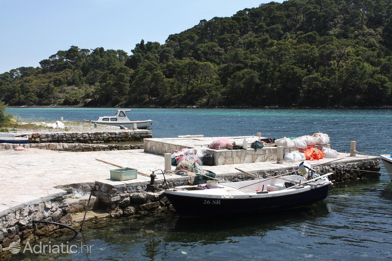 Soline en la isla Mljet (Južna Dalmacija)