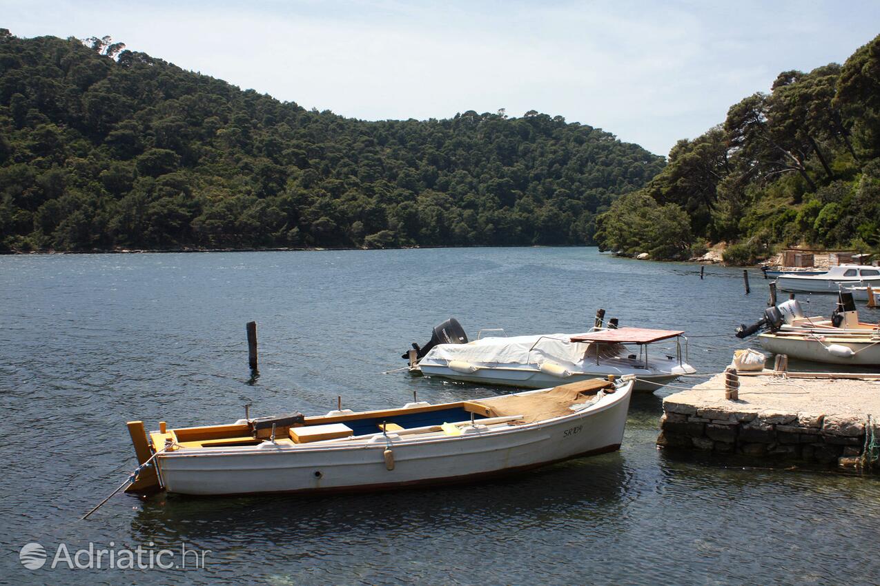 Soline na otoku Mljet (Južna Dalmacija)