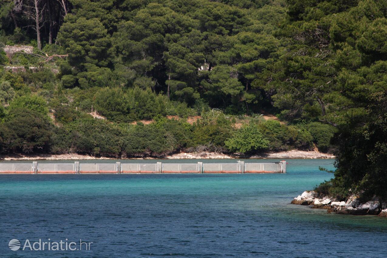 Soline en la isla Mljet (Južna Dalmacija)