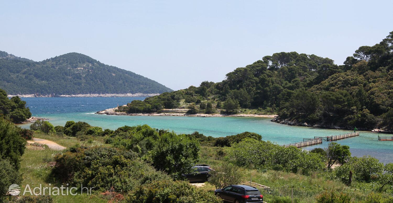 Soline en la isla Mljet (Južna Dalmacija)