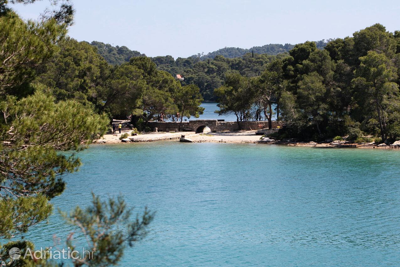 Soline en la isla Mljet (Južna Dalmacija)