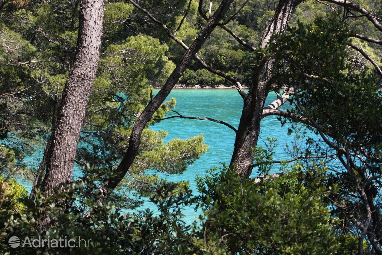 Soline na ostrove Mljet (Južna Dalmacija)