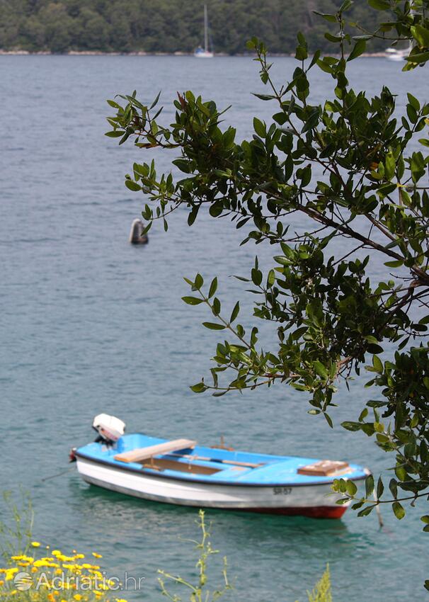 Polače na ostrově Mljet (Južna Dalmacija)