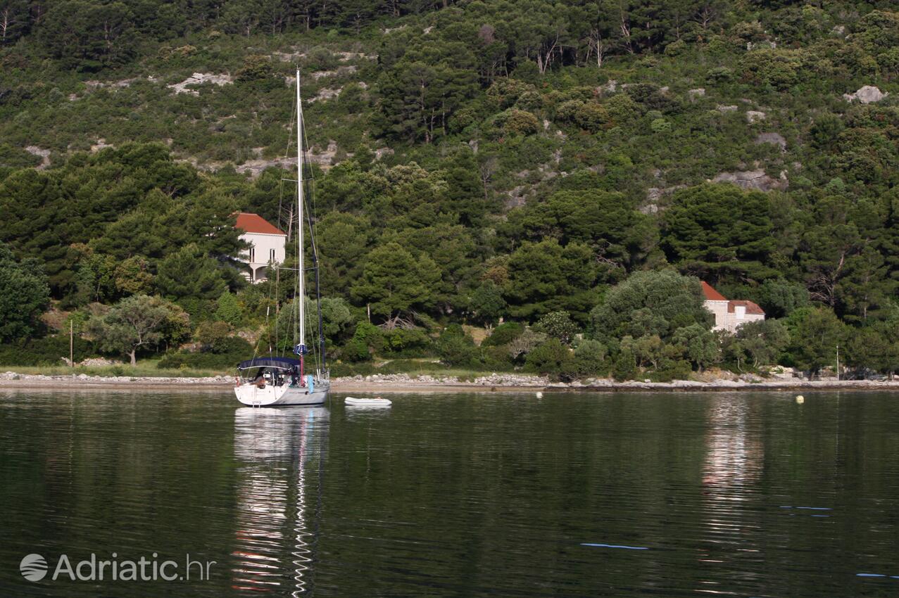 Polače na ostrově Mljet (Južna Dalmacija)