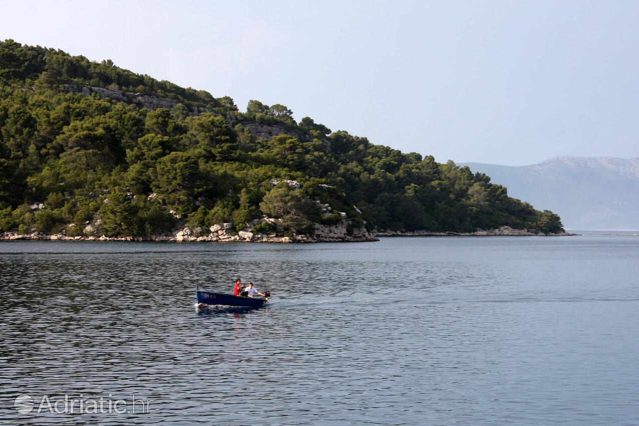 Polače na ostrově Mljet (Južna Dalmacija)