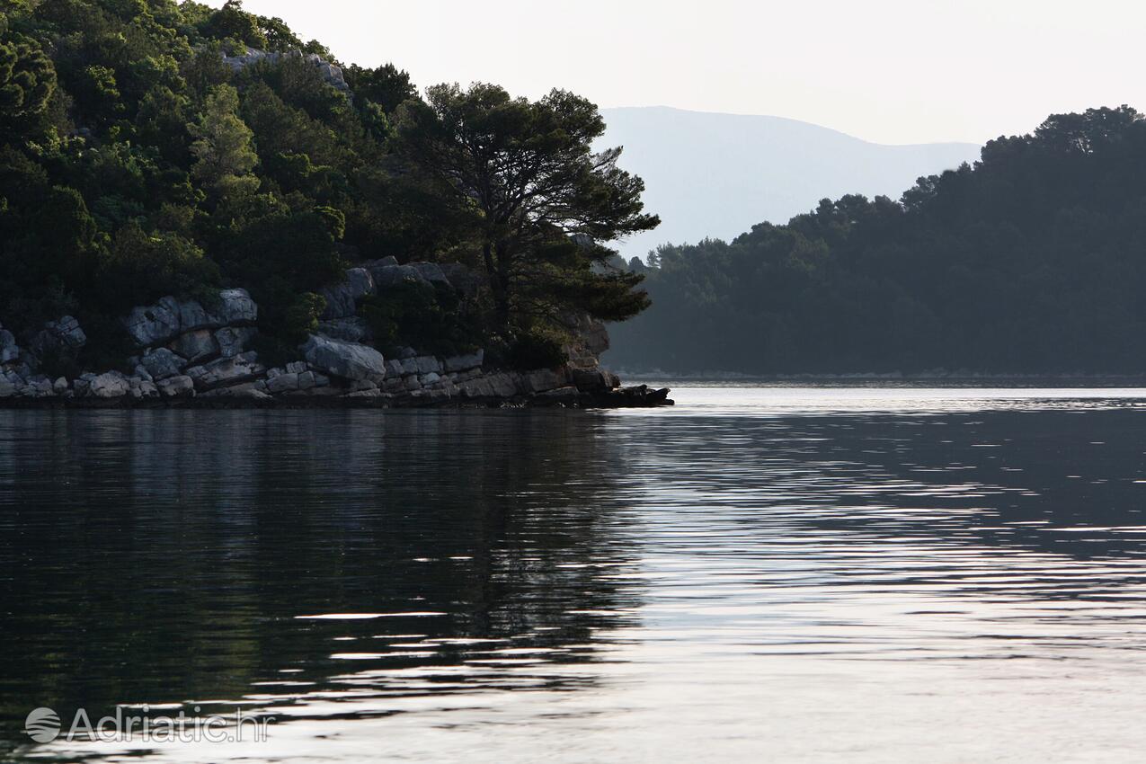 Polače na ostrově Mljet (Južna Dalmacija)