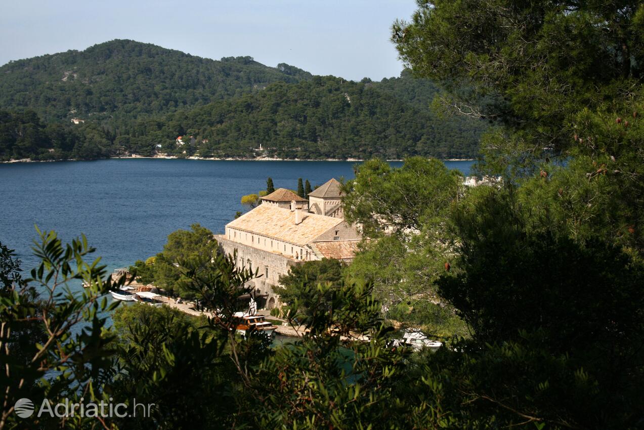 Polače na ostrově Mljet (Južna Dalmacija)