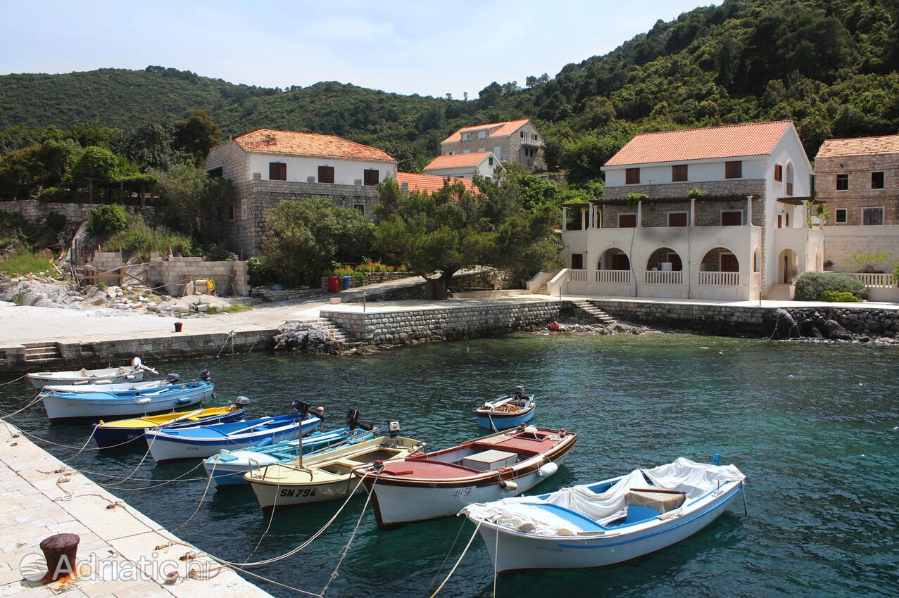 Kozarica on the island Mljet (Južna Dalmacija)