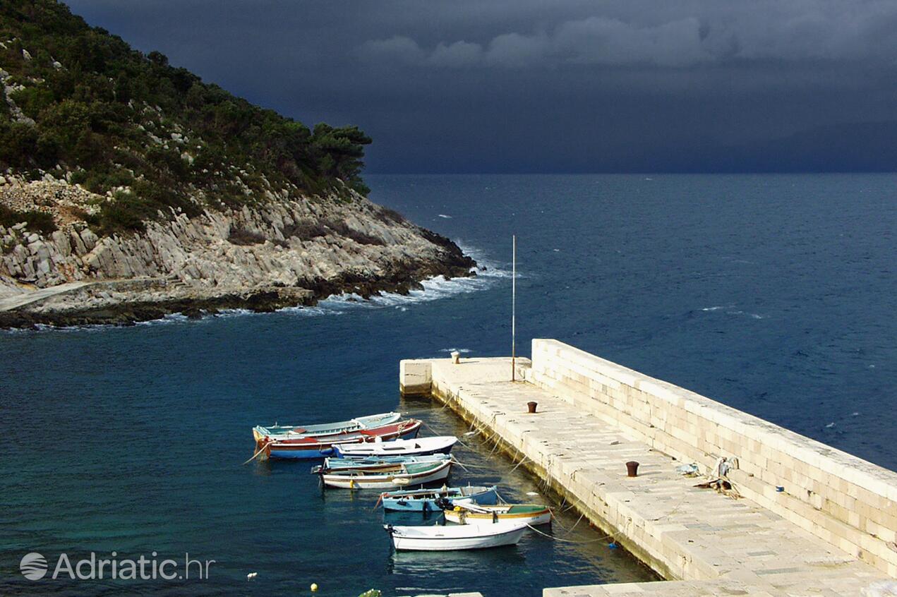 Kozarica on the island Mljet (Južna Dalmacija)