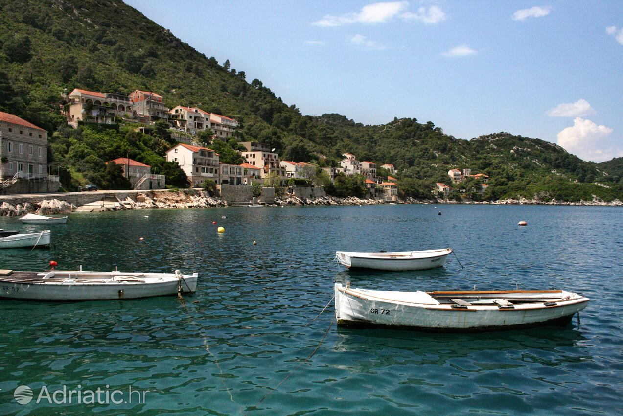 Sobra na otoku Mljet (Južna Dalmacija)