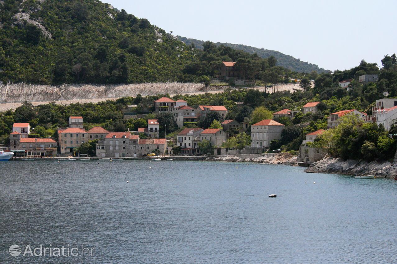 Sobra na otoku Mljet (Južna Dalmacija)