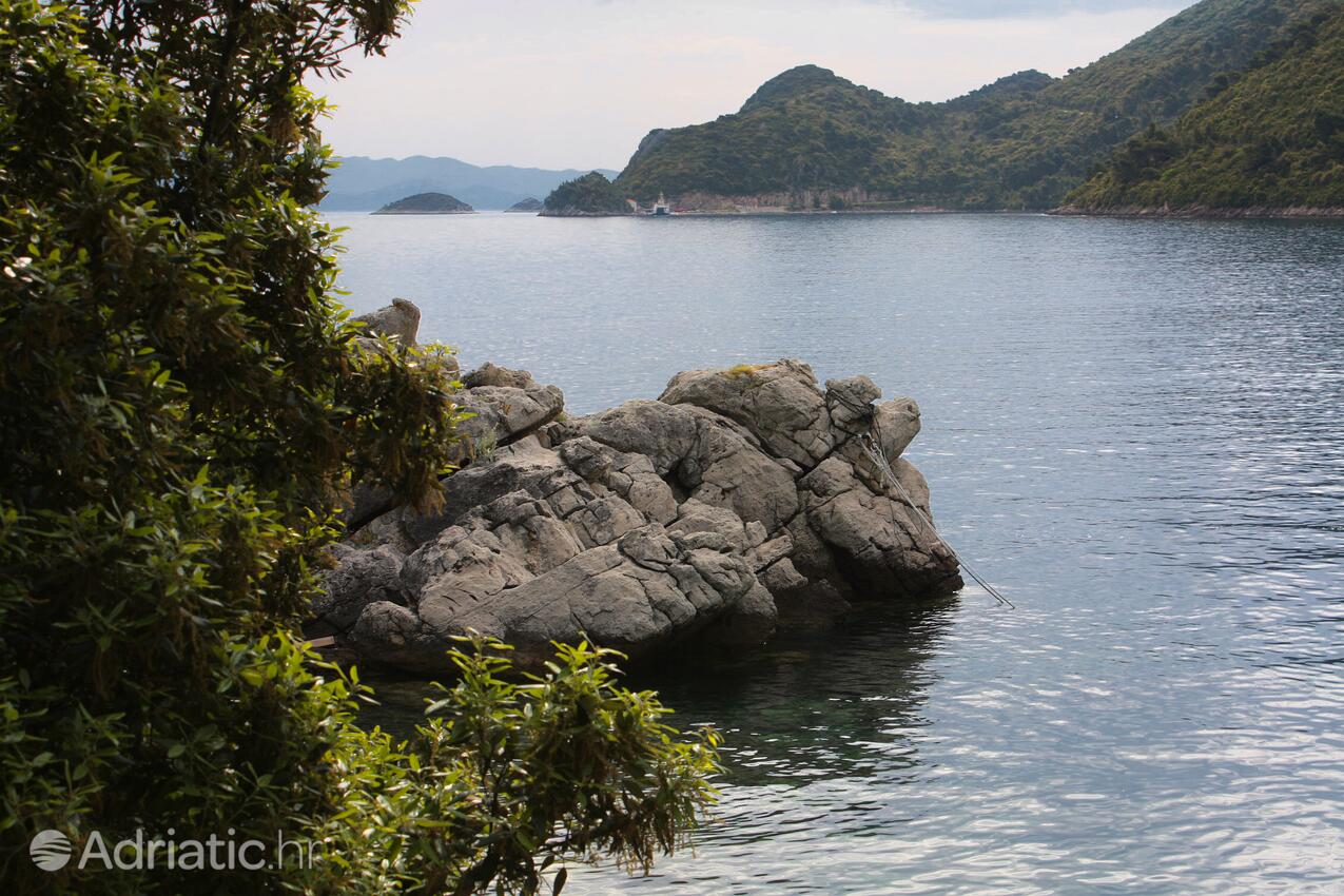 Sobra na otoku Mljet (Južna Dalmacija)