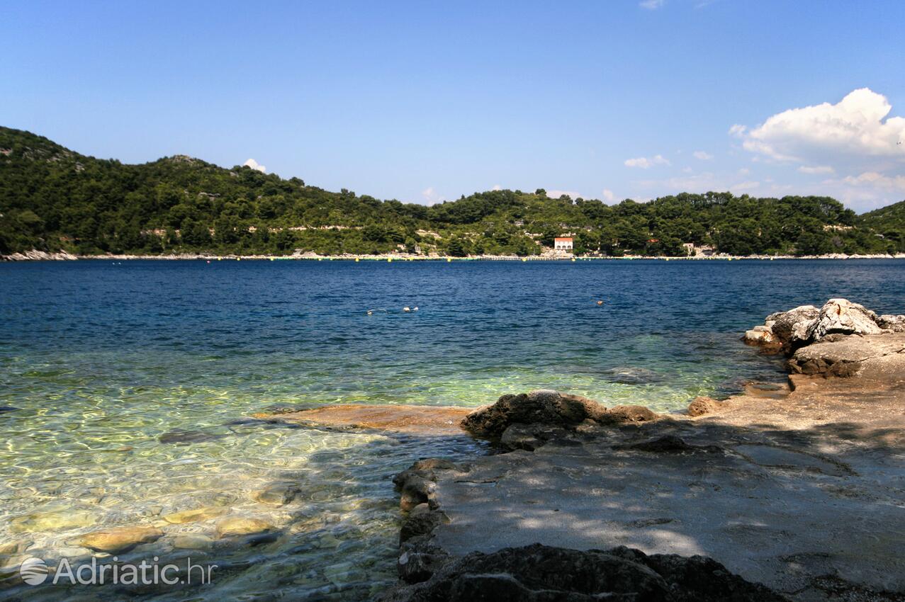 Nearby beaches - Apartments by the sea Sobra, Mljet
