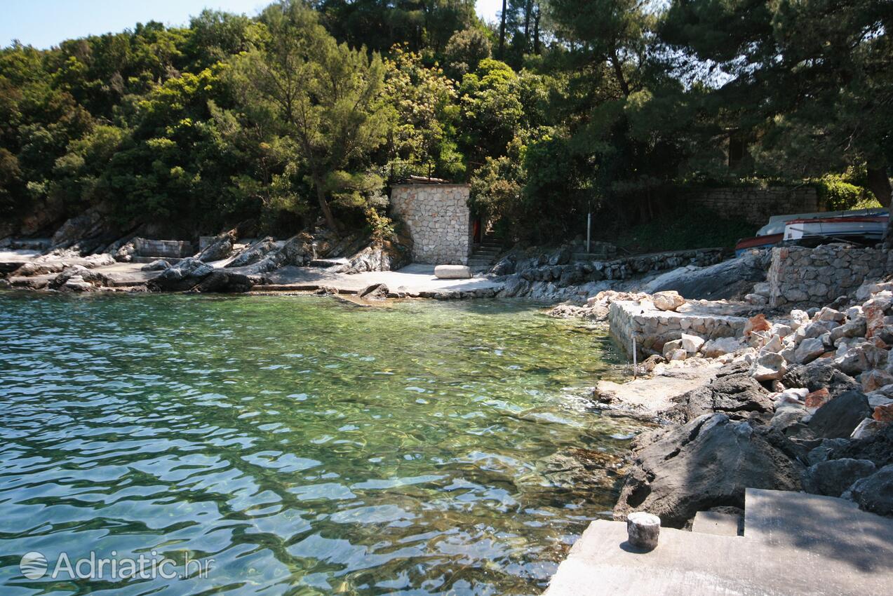 Nearby beaches - Apartments by the sea Sobra, Mljet