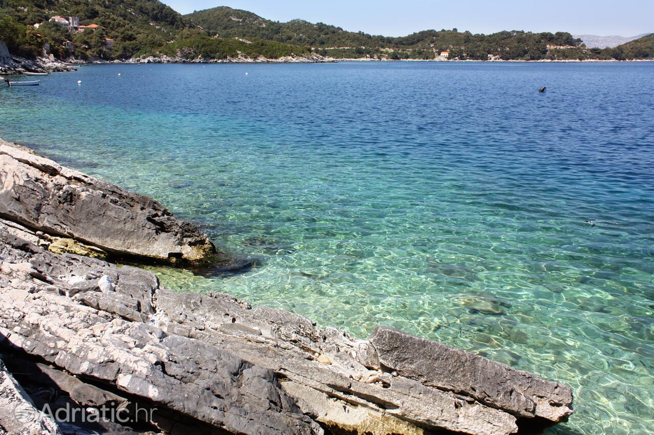 Nearby beaches - Apartments by the sea Sobra, Mljet
