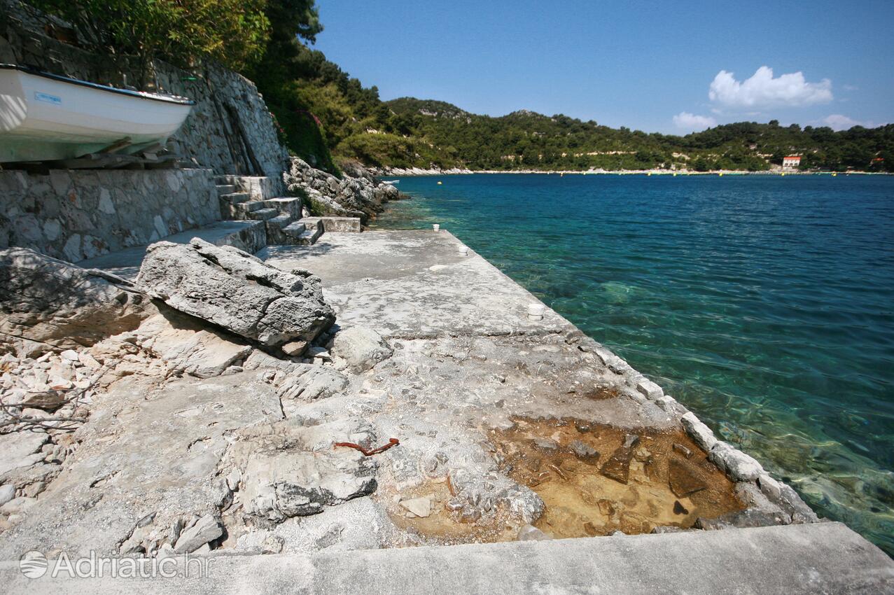 Nearby beaches - Apartments by the sea Sobra, Mljet