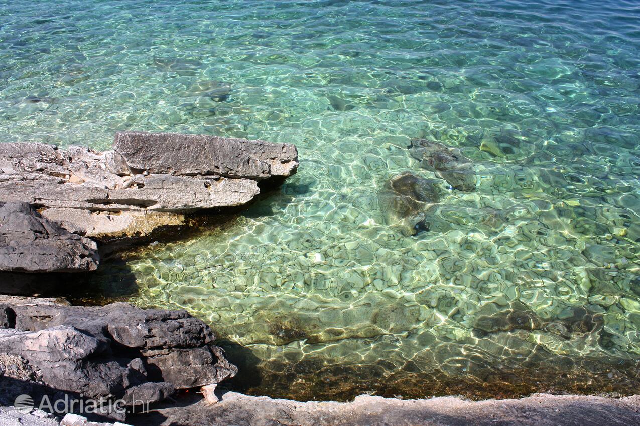 Nearby beaches - Apartments by the sea Sobra, Mljet