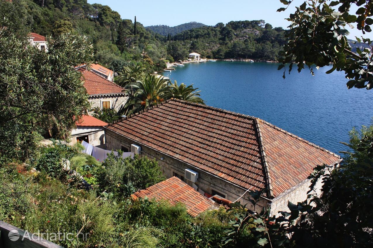 Babine Kuće on the island Mljet (Južna Dalmacija)