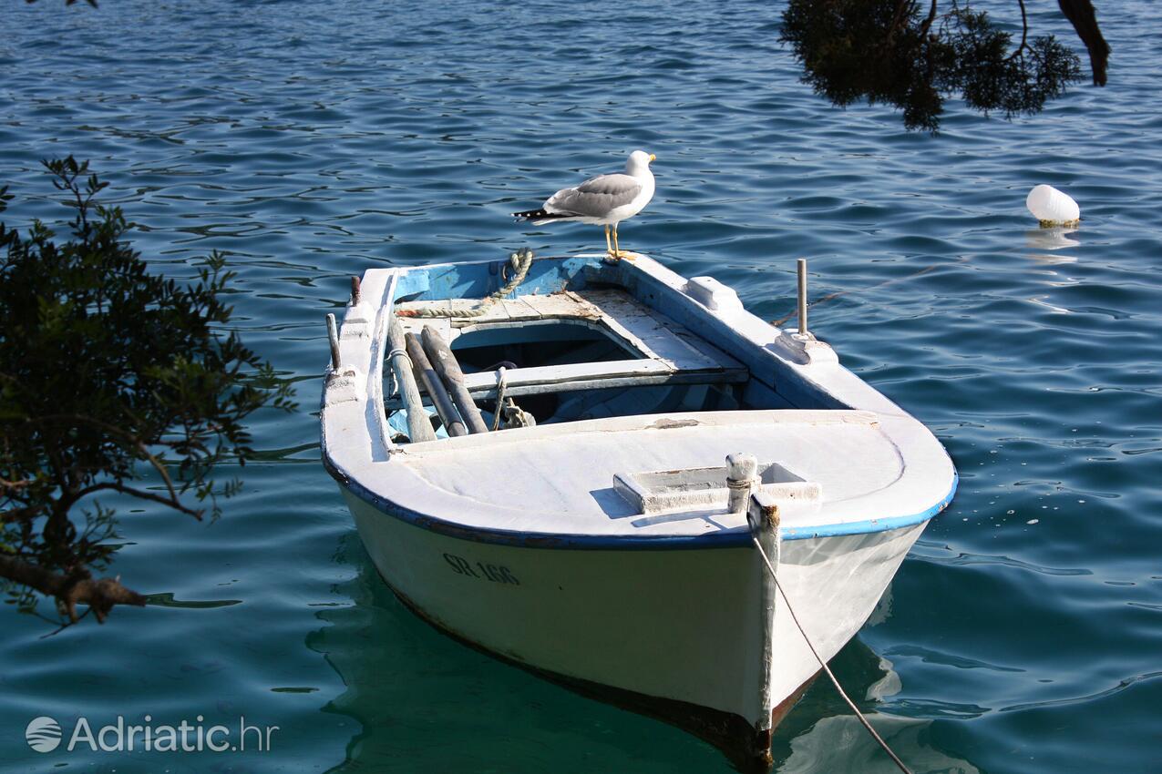 Babine Kuće on the island Mljet (Južna Dalmacija)