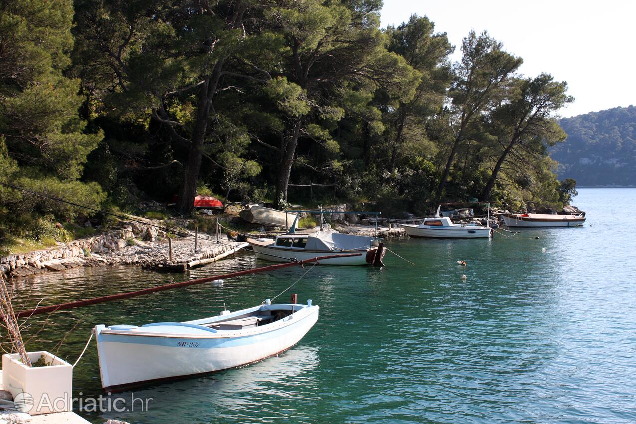 Babine Kuće på otoku Mljet (Južna Dalmacija)