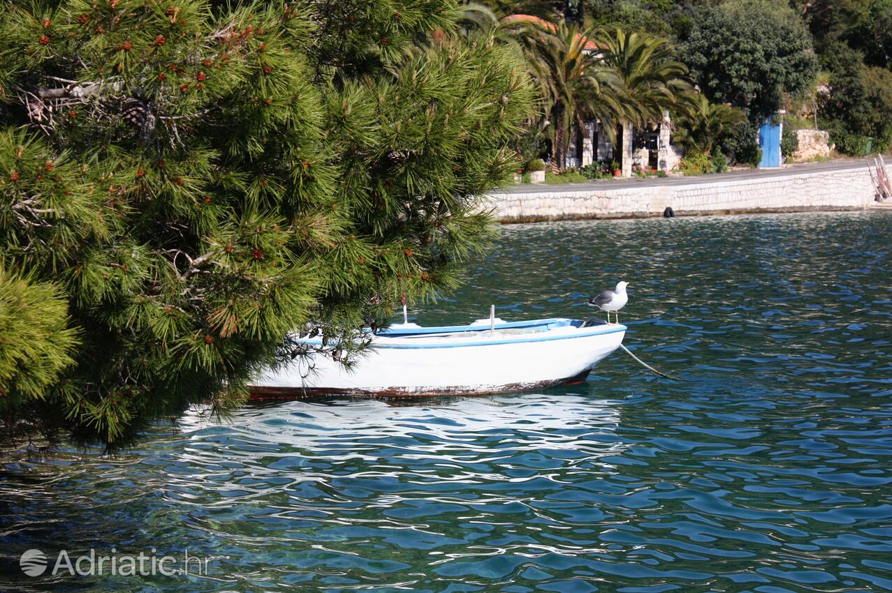 Babine Kuće auf der Insel  Mljet (Južna Dalmacija)