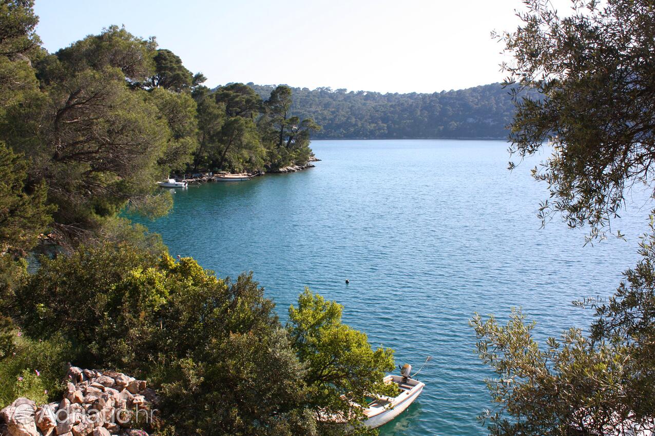 Babine Kuće på otoku Mljet (Južna Dalmacija)