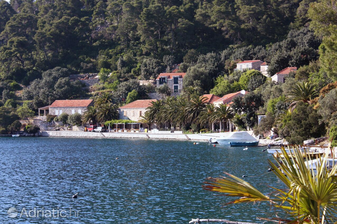 Babine Kuće on the island Mljet (Južna Dalmacija)