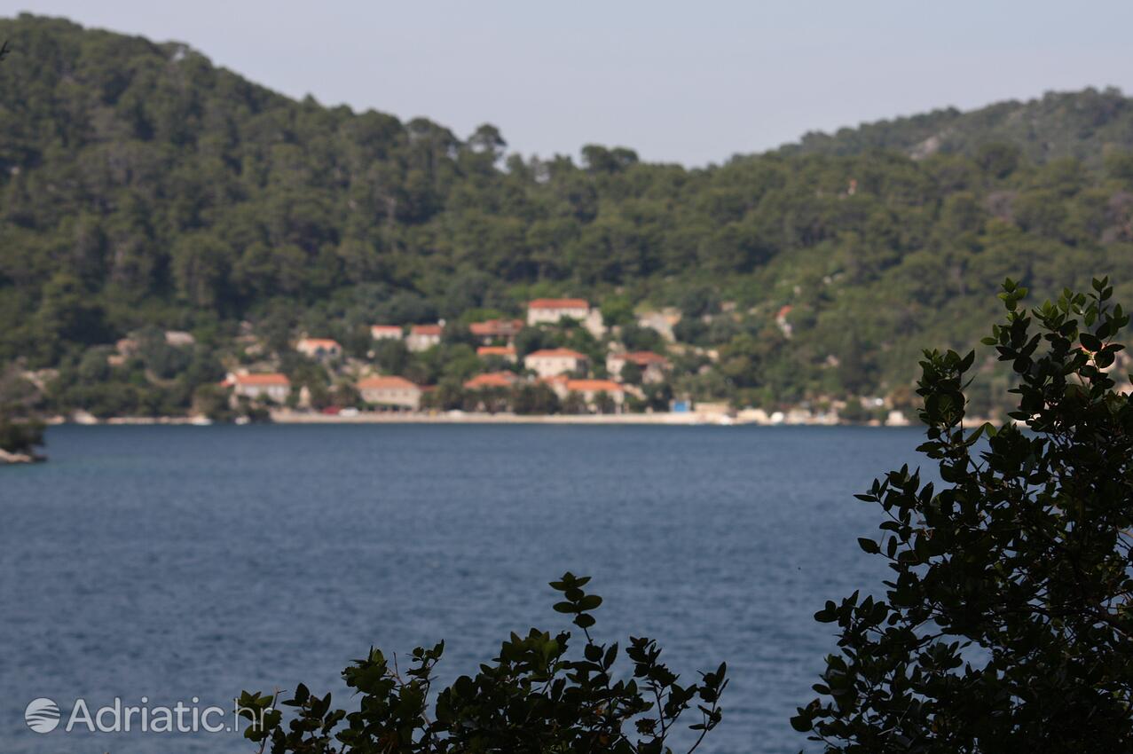 Babine Kuće on the island Mljet (Južna Dalmacija)