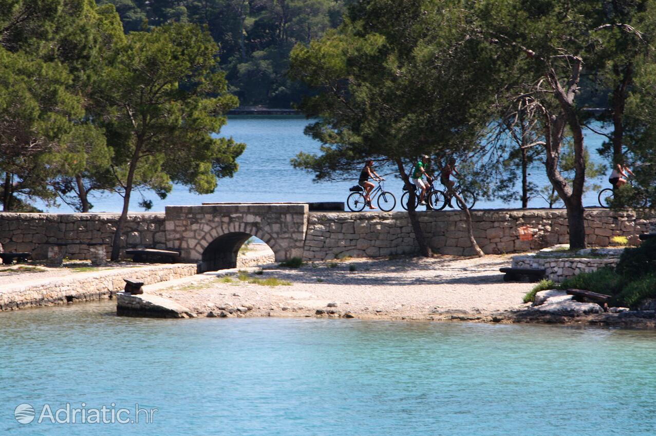 Babine Kuće on the island Mljet (Južna Dalmacija)