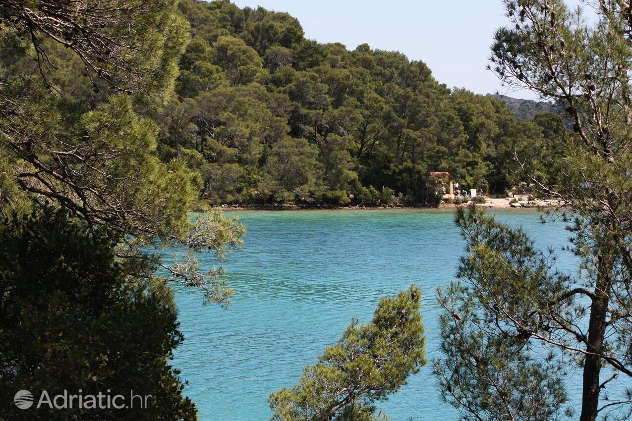 Babine Kuće på otoku Mljet (Južna Dalmacija)