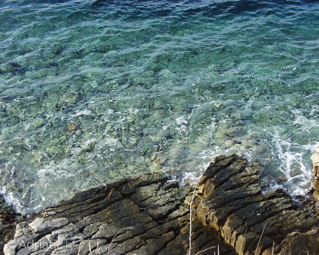 Nearby beaches - Apartments and rooms by the sea Pomena, Mljet