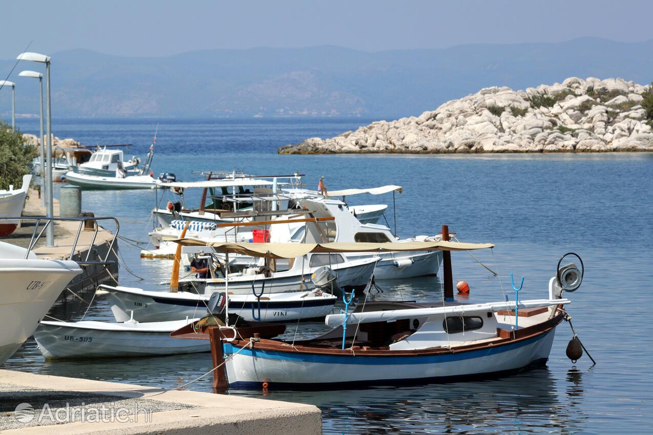 Zaklopatica auf der Insel  Lastovo (Južna Dalmacija)