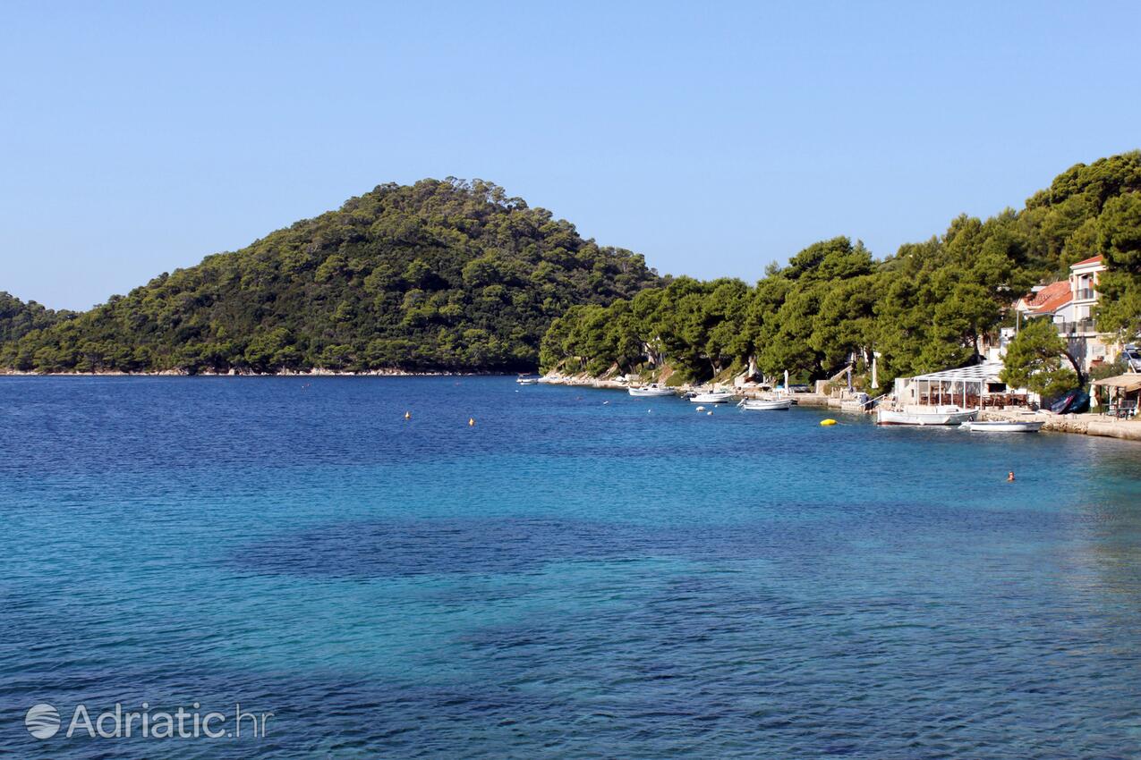 Pasadur sull'isola Lastovo (Južna Dalmacija)