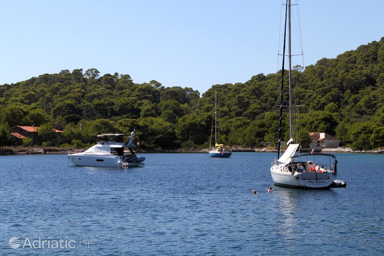 Pasadur острові Lastovo (Južna Dalmacija)