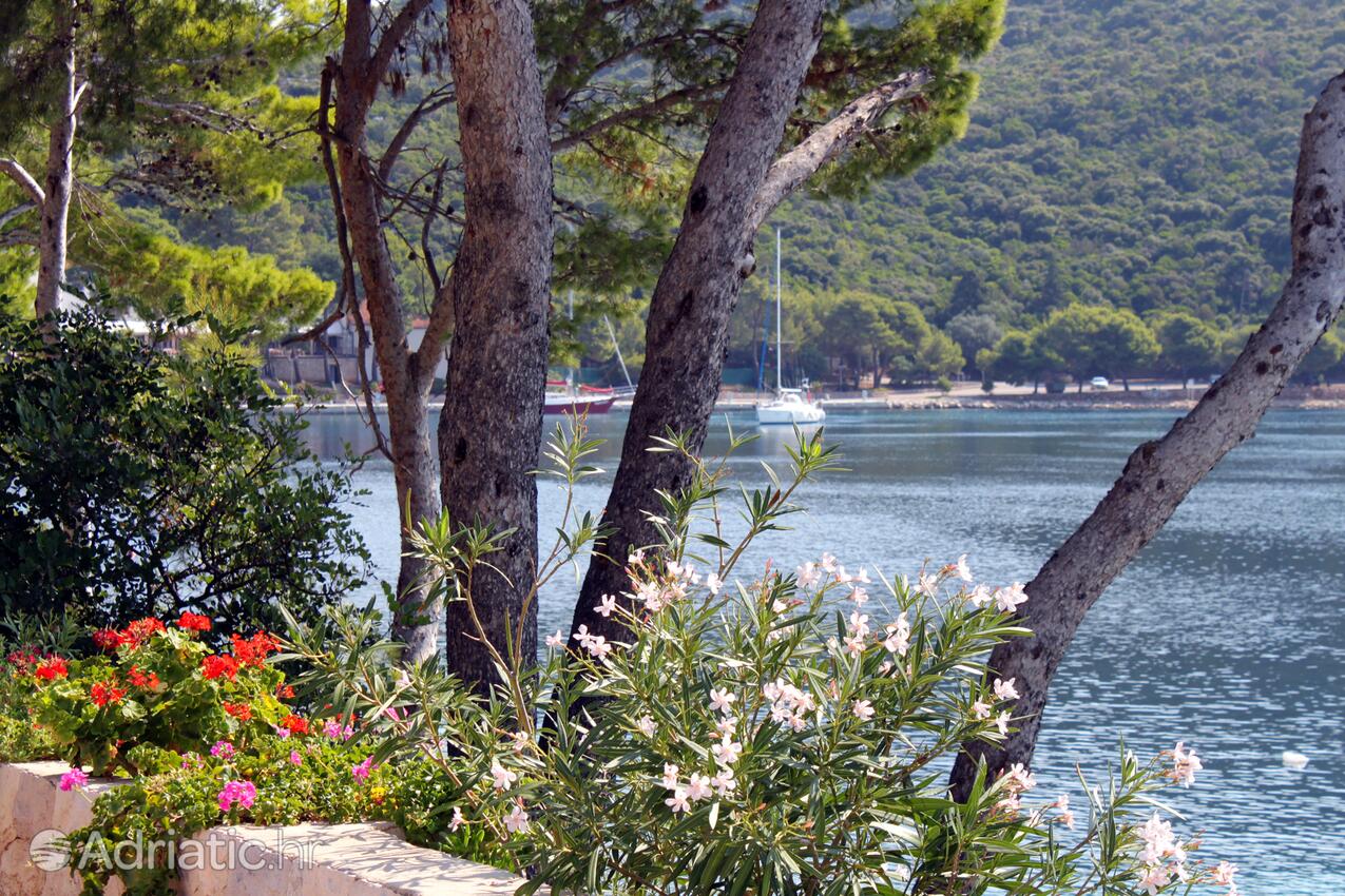 Pasadur sull'isola Lastovo (Južna Dalmacija)