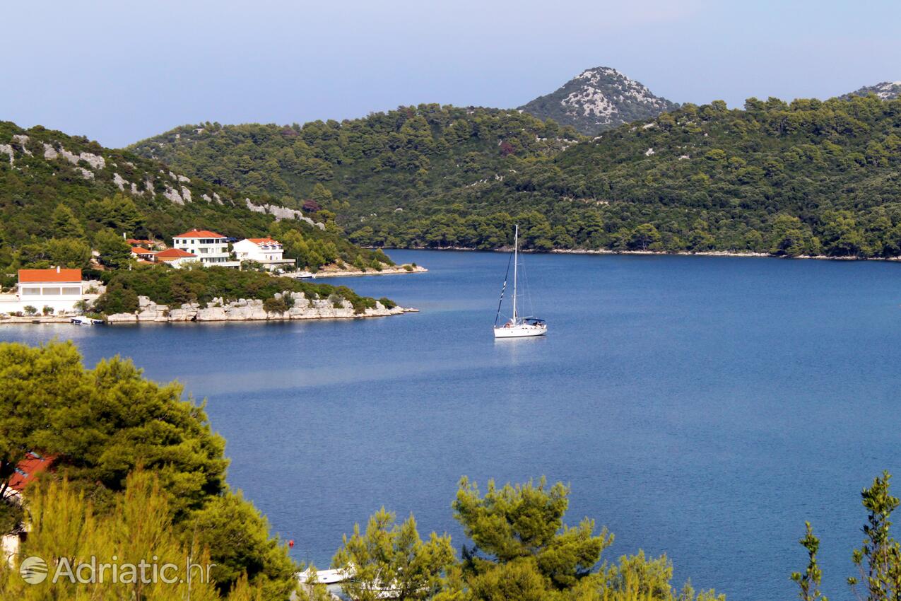 Pasadur sull'isola Lastovo (Južna Dalmacija)