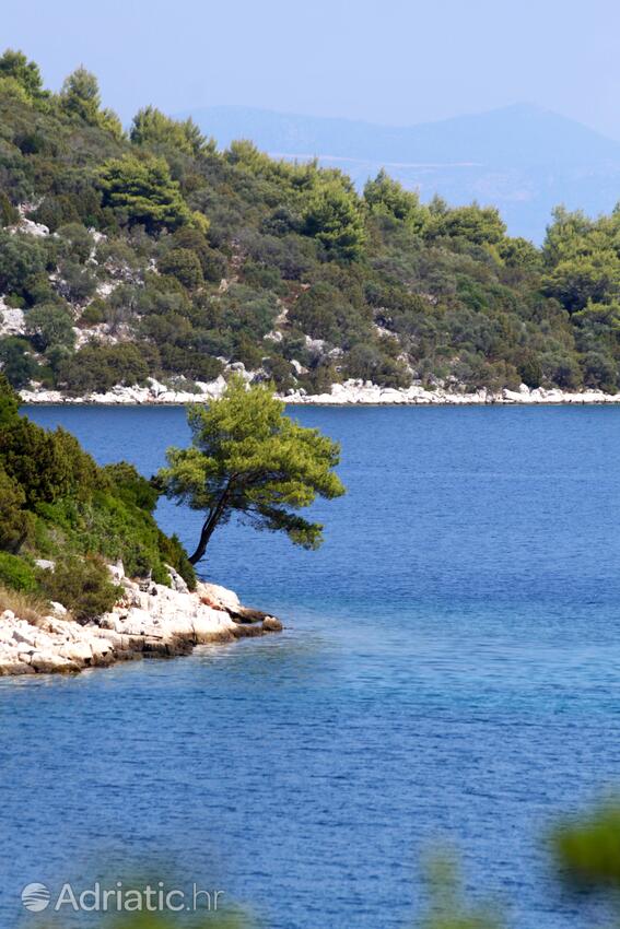 Pasadur auf der Insel  Lastovo (Južna Dalmacija)