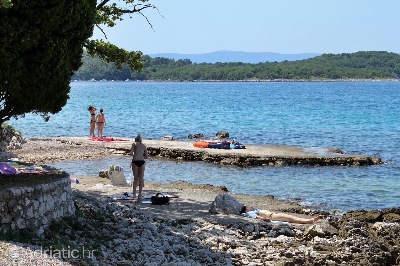 Spiagge nelle vicinanze - Appartamenti con parcheggio Gnivizze - Njivice, Veglia - Krk
