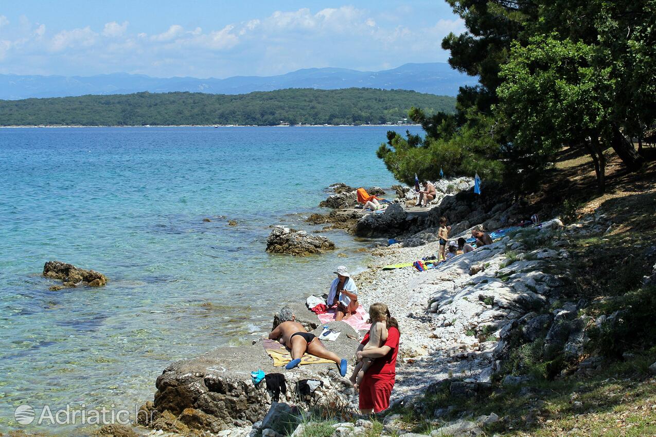 Spiagge nelle vicinanze - Appartamenti con parcheggio Gnivizze - Njivice, Veglia - Krk