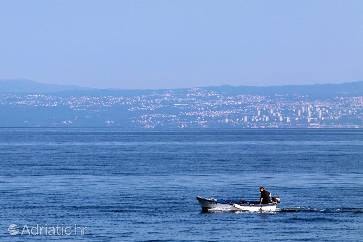 Njivice på otoku Krk (Kvarner)