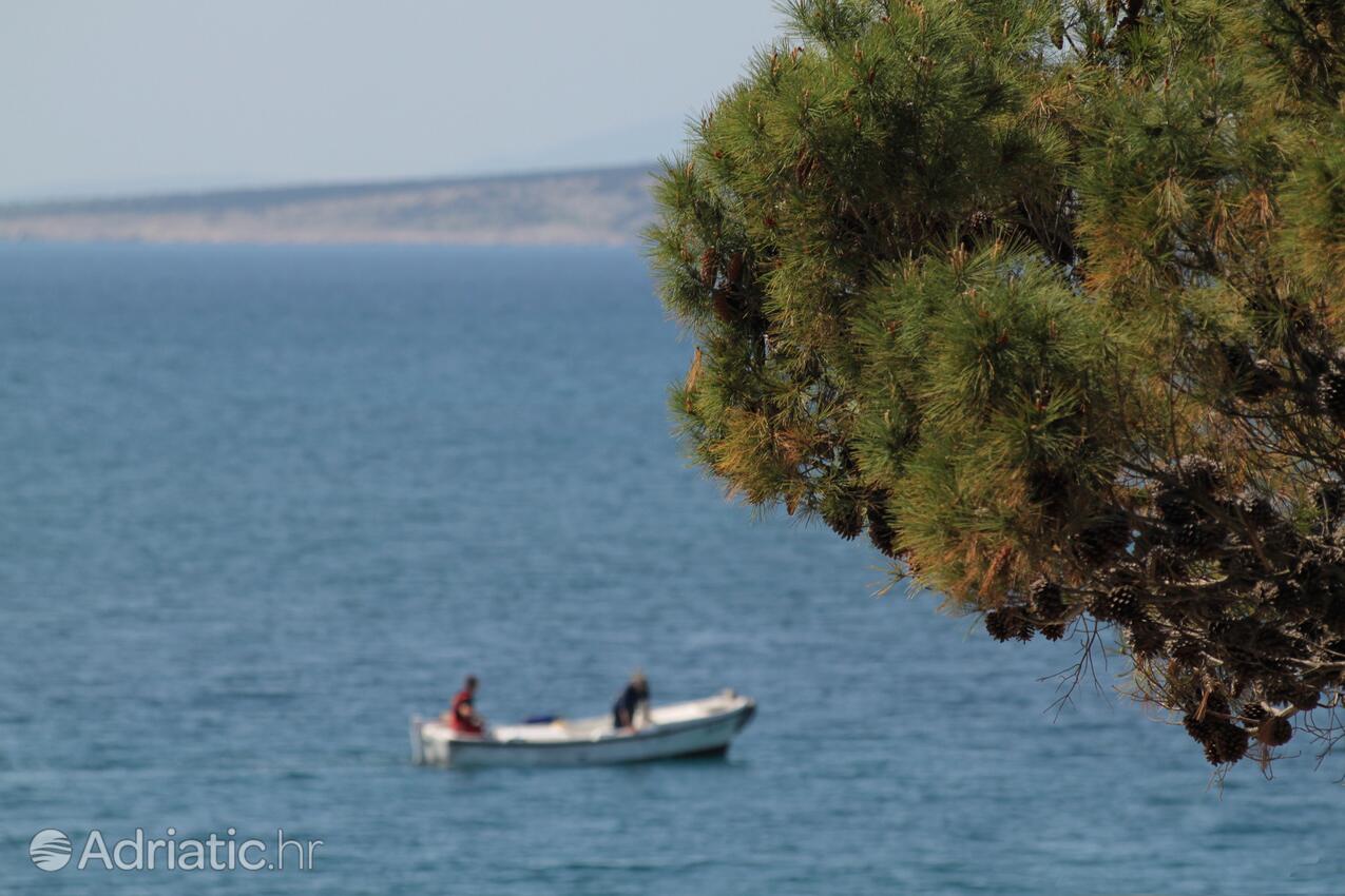 Krk op de route Krk (Kvarner)